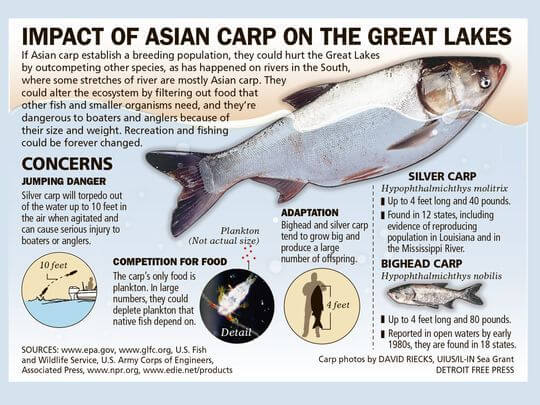 Information About And Recommended Equipment For Asian Carp